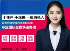 代理记账免费注册公司，代理记账，财税咨询，公司股东变更，注销